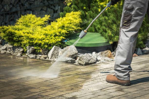 Best Restaurant Pressure Washing  in Elk Rapids, MI