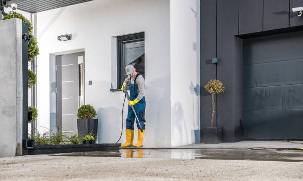 Best Fence Cleaning  in Elk Rapids, MI